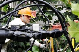 電力菁英服務(wù)上?！皠?chuàng)意產(chǎn)業(yè)”發(fā)展