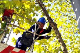 清除線路上的“攔路虎”打響“安全攻堅(jiān)戰(zhàn)”