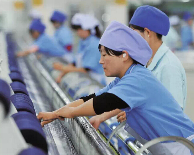 【信息化案例】博覽會后寧夏特色產業(yè)聚集