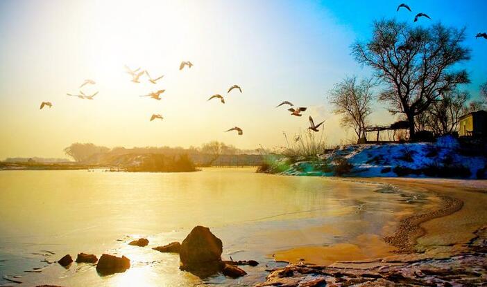 遼寧電力體制改革試點獲批之后 電力交易進行的如何了？