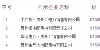 貴州新公示4家售電公司