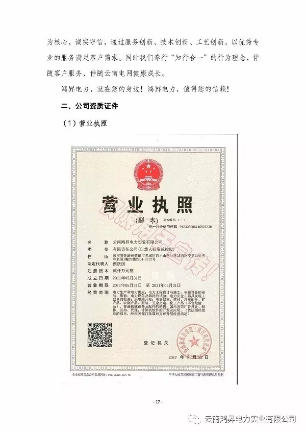 云南鴻昇電力實(shí)業(yè)有限公司售電業(yè)務(wù)概述