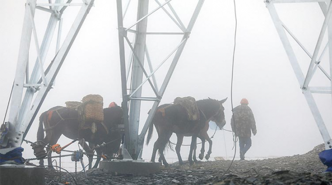 雪山的來(lái)客