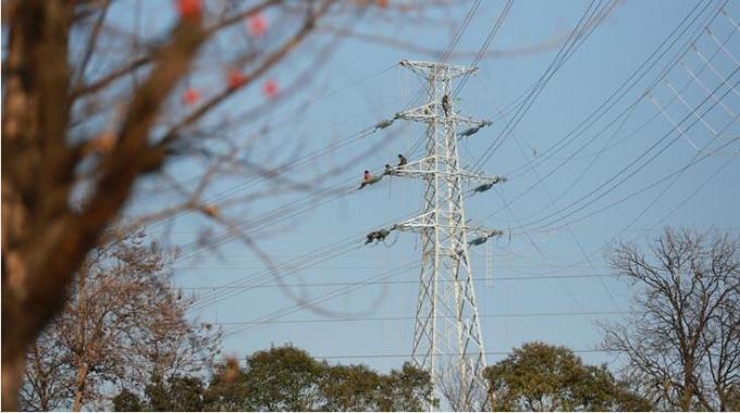 大雁頭上過 電網(wǎng)建設(shè)忙