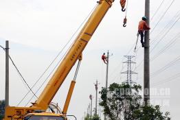 東臺供電：電網(wǎng)改造