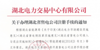 湖北首批售電公司開始注冊 1月23日截止