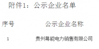 《關(guān)于貴州粵能電力銷售有限公司注冊成為貴州省電力自主交易市場主體相關(guān)信息的公示》