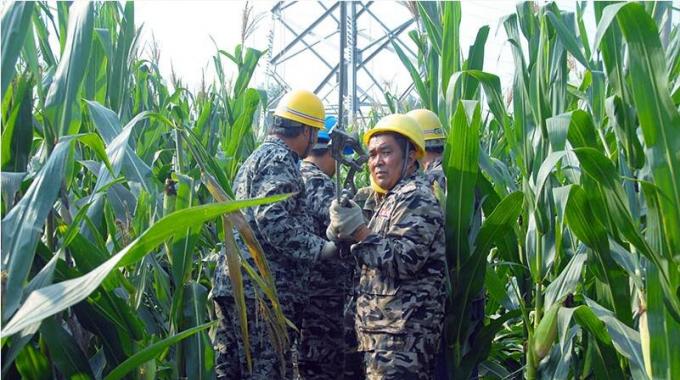 快速施工鑄堅強電網(wǎng)