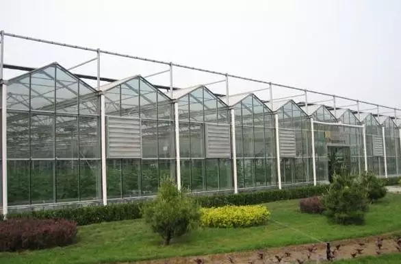 電能"雙替代"！山東去年累計(jì)節(jié)省煤炭消耗1680萬(wàn)噸