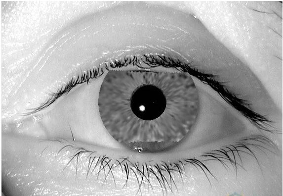 四種成功攻擊生物特征識(shí)別的手段