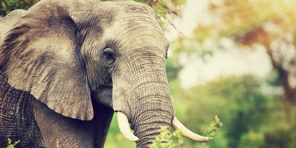 利用物聯(lián)網(wǎng)保護環(huán)境的三種方法