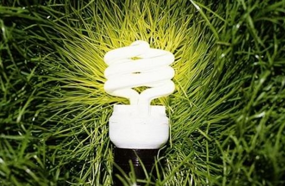 綠證能否突出重圍？