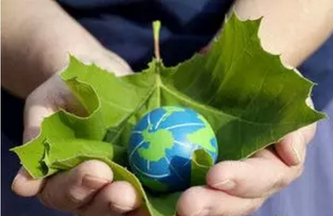 能源局:適時啟動綠證強制約束交易,提振光伏、風電的發(fā)展