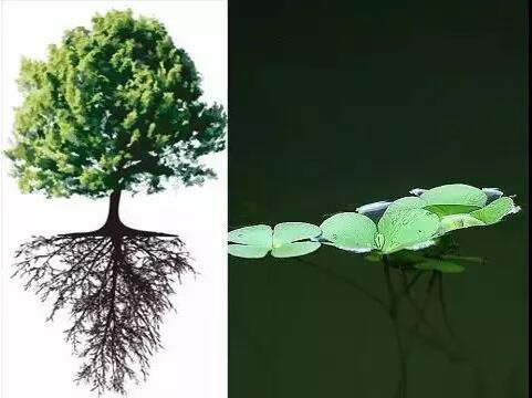 一起來認識海上風(fēng)電安裝作業(yè)平臺