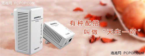 電力貓的版本眾多，從電力線傳輸技術上就可以分為HomePlug和G.hn，采用相同電力線通信技術的電力貓還可以分為有線電力貓和無線電力貓，而在無線電力貓中還有無線AP和無線路由的區(qū)別。外觀功能上的區(qū)別就更大了，以ZINWELL為例，就先后推出了單口有線電力貓，帶電源延長線的電力貓，多口有線電力貓，電力貓無線路由器，無線AP電力貓，帶電源插座的電力貓等。