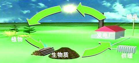 生物質(zhì)是替代核電、火電 彌補天然氣缺口的一種重要新能源