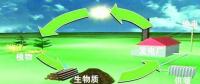 生物質(zhì)是替代核電、火電 彌補天然氣缺口的一種重要新能源
