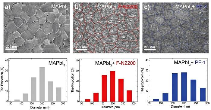 蘇州大學(xué)馬萬(wàn)里團(tuán)隊(duì)Adv. Funct. Mater.：共軛聚合物助力鈣鈦礦電池效率及穩(wěn)定性