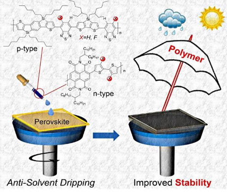 蘇州大學(xué)馬萬(wàn)里團(tuán)隊(duì)Adv. Funct. Mater.：共軛聚合物助力鈣鈦礦電池效率及穩(wěn)定性