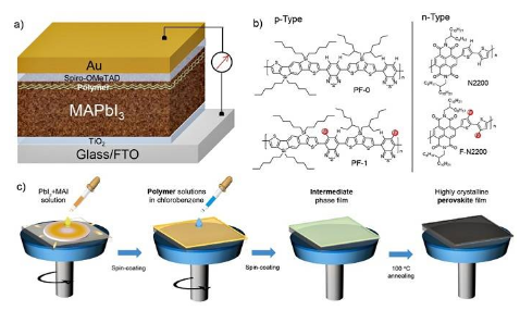 蘇州大學(xué)馬萬(wàn)里團(tuán)隊(duì)Adv. Funct. Mater.：共軛聚合物助力鈣鈦礦電池效率及穩(wěn)定性