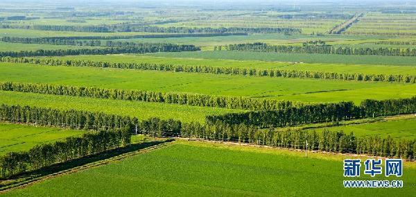 三北防護林不擋沙塵？專家：固沙作用明顯，此次沙塵來自蒙古