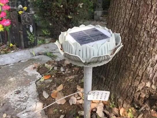 墓地傳來哭聲 周圍卻沒有人影 清明節(jié)你被光伏嚇著了嗎？