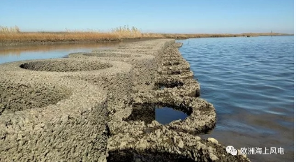 維斯塔斯海上風(fēng)機搞創(chuàng)新：居然還用到生蠔！