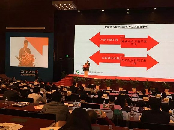中國(guó)動(dòng)力電池表面光鮮 整體盈利困難
