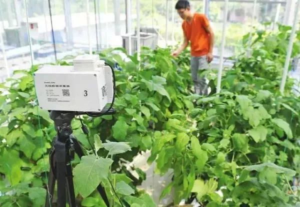 互聯(lián)網(wǎng)+農(nóng)業(yè)，6大創(chuàng)業(yè)方向是…