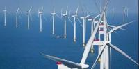 中國風電企業(yè)出海記：國際化是必選項，抱團方能同取暖
