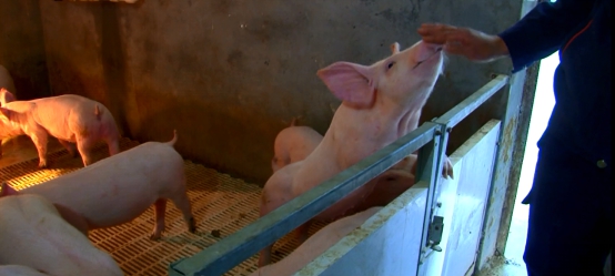 農(nóng)村金融變革已來(lái) 互聯(lián)網(wǎng)+金融+農(nóng)業(yè)大有可為