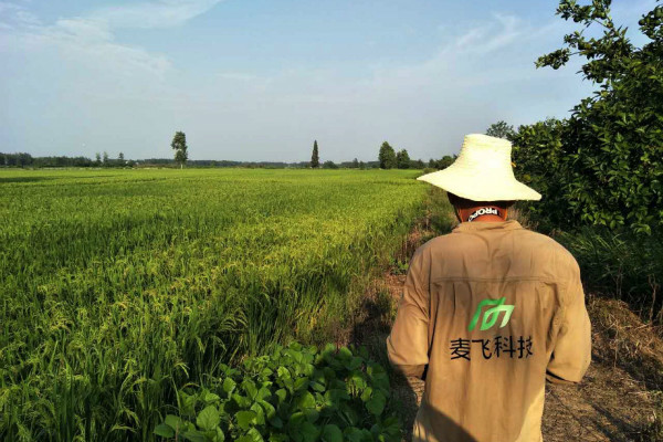 “AI+遙感”覬覦萬億級智慧農業(yè)市場，這次沒有中間商賺差價 