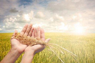 杜培良打造中國生態(tài)農(nóng)牧業(yè)商城，助力最美新農(nóng)村建設(shè)