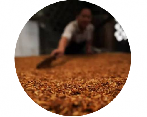 麥田國(guó)際——麥田里的守望者，“互聯(lián)網(wǎng)+農(nóng)業(yè)”的先行者