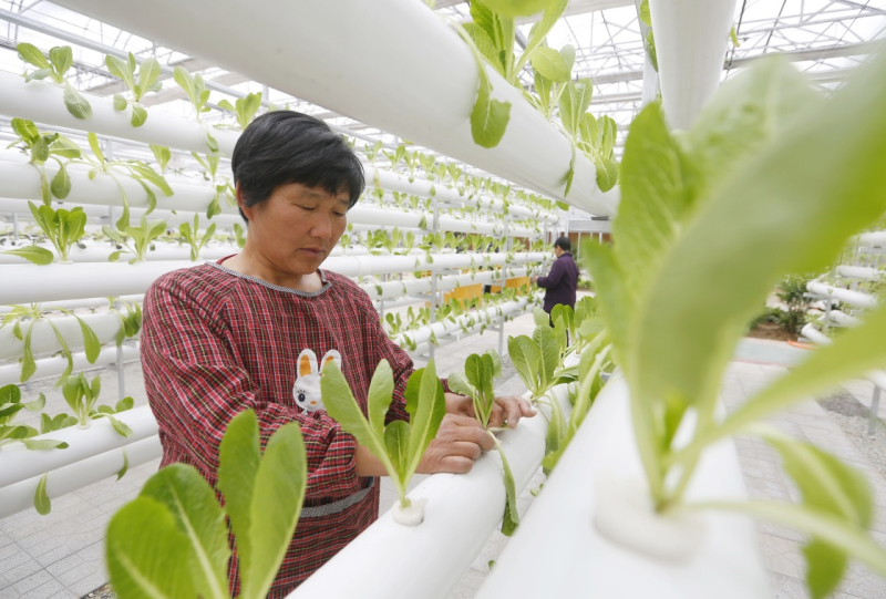 “互聯(lián)網(wǎng)+”助力智慧農業(yè)