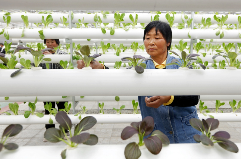 “互聯(lián)網(wǎng)+”助力智慧農業(yè)