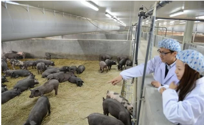 互聯(lián)網(wǎng)給農(nóng)民農(nóng)業(yè)帶來了什么？本文告訴你！