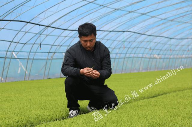 富錦 “互聯(lián)網(wǎng)+農(nóng)業(yè)”搭建智慧農(nóng)業(yè)新平臺(tái)