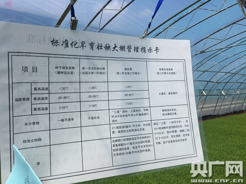 富錦“生產+加工+科技”模式引領現(xiàn)代農業(yè)發(fā)展