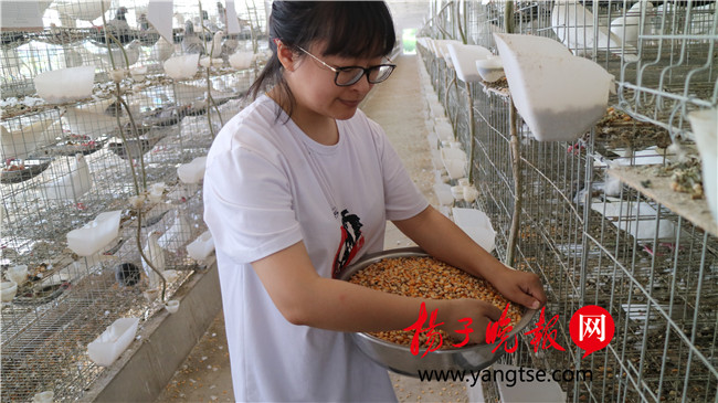 一個(gè)“80”后研究生的“綠色農(nóng)業(yè)夢(mèng)”：用“互聯(lián)網(wǎng)+”思維做農(nóng)業(yè)，新型職業(yè)農(nóng)民“潮”起來(lái)