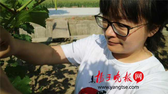 一個(gè)“80”后研究生的“綠色農(nóng)業(yè)夢(mèng)”：用“互聯(lián)網(wǎng)+”思維做農(nóng)業(yè)，新型職業(yè)農(nóng)民“潮”起來(lái)