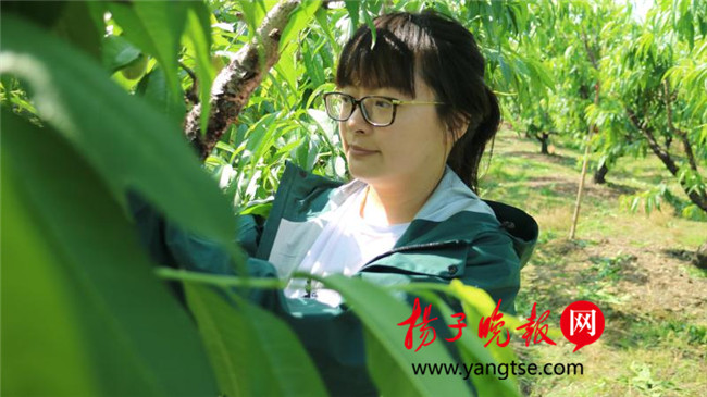 一個(gè)“80”后研究生的“綠色農(nóng)業(yè)夢(mèng)”：用“互聯(lián)網(wǎng)+”思維做農(nóng)業(yè)，新型職業(yè)農(nóng)民“潮”起來(lái)