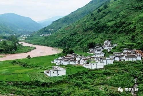 移動互聯(lián)網(wǎng)走進農(nóng)村，推動農(nóng)業(yè)產(chǎn)業(yè)的智慧化轉(zhuǎn)型升級 