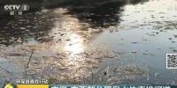 8.6公里河道有上百排污口 南寧多河被黑臭水攻陷