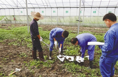 浙江加快土壤修復(fù)治理步伐