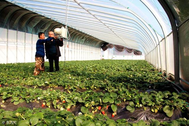 鍵盤聲替代了麻將聲，互聯(lián)網(wǎng)農(nóng)業(yè)變革正當(dāng)時(shí)