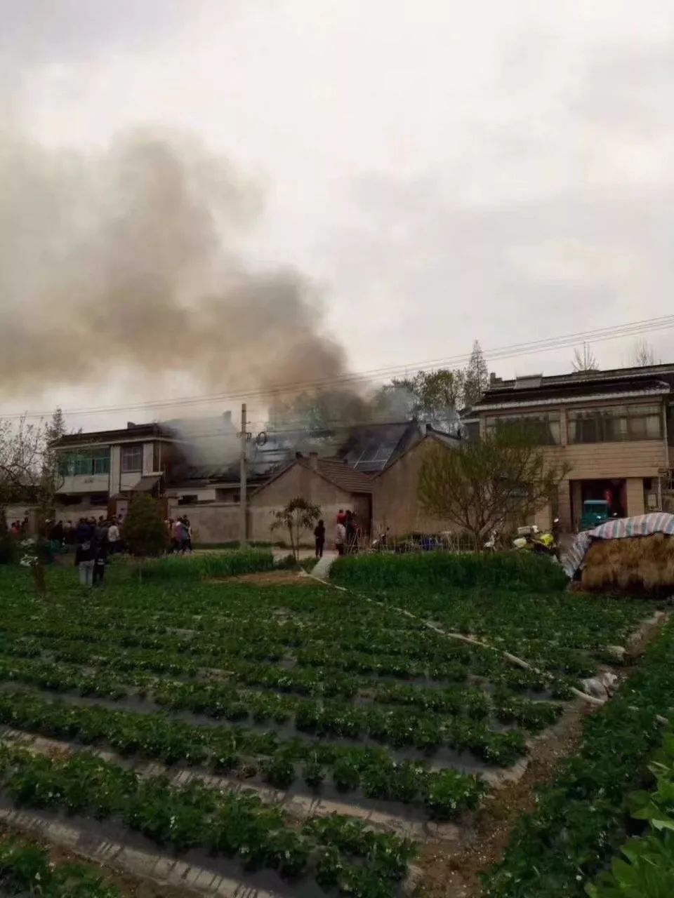 全國(guó)多起光伏火災(zāi)：損失數(shù)億元 虧損能否找回？