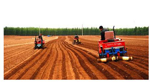 互聯(lián)網(wǎng)+農(nóng)業(yè)：網(wǎng)動視頻會議開啟智慧農(nóng)業(yè)發(fā)展新篇章