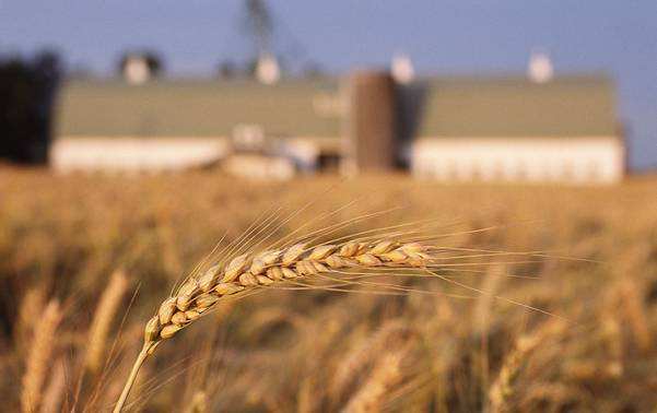 人民日報(bào)：“互聯(lián)網(wǎng)+農(nóng)村”亟待提速 網(wǎng)絡(luò)入戶遇兩大難題