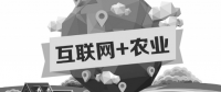 A5創(chuàng)業(yè)項(xiàng)目推薦：互聯(lián)網(wǎng)+農(nóng)業(yè)能碰撞出怎樣的新發(fā)展？